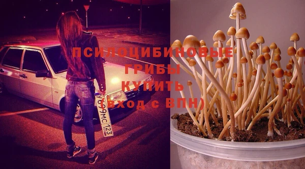 прущая мука Алзамай