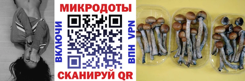 где купить наркоту  Боровск  Галлюциногенные грибы Cubensis 